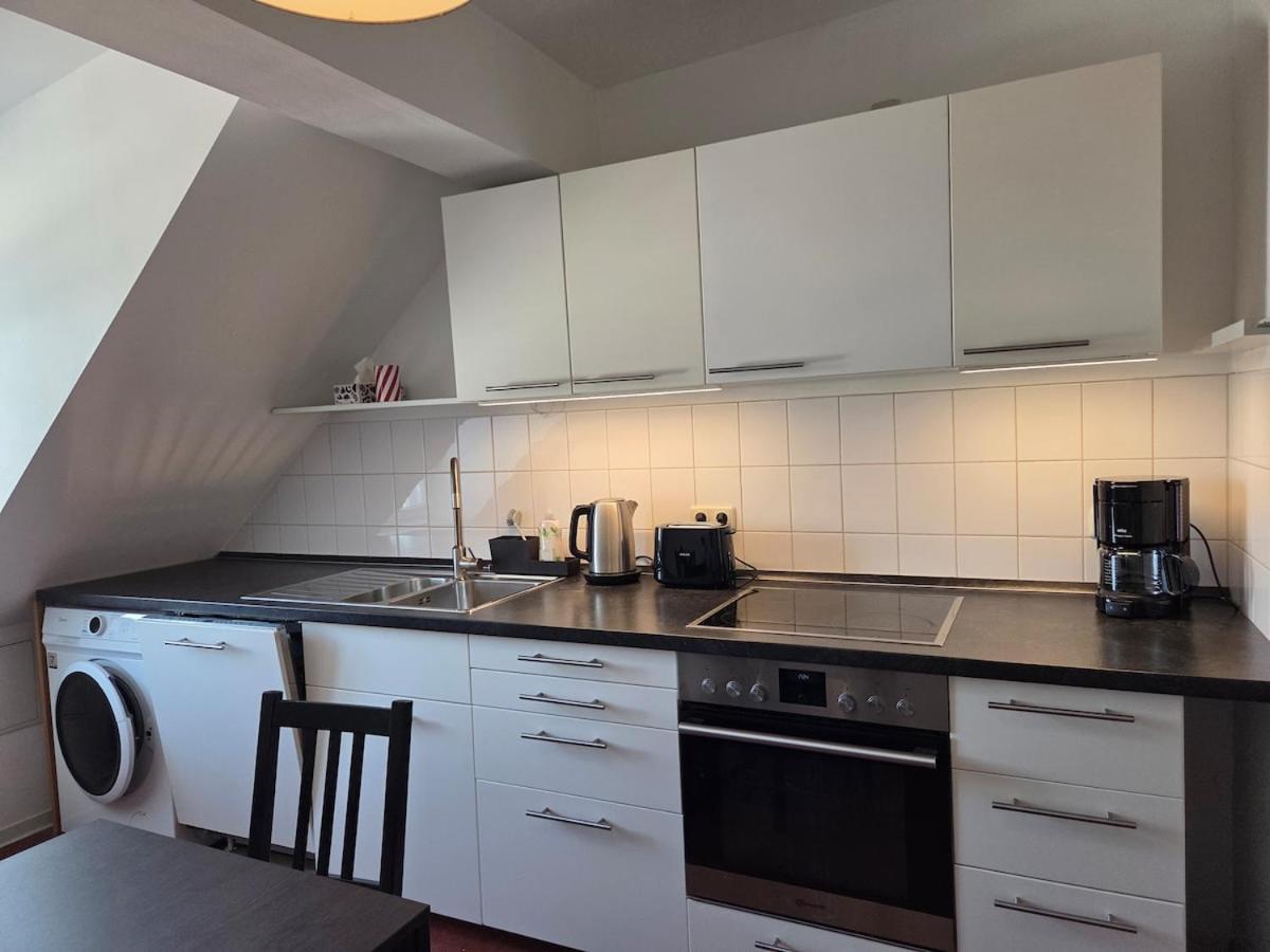 Penthouse In The Neustadt Dresden